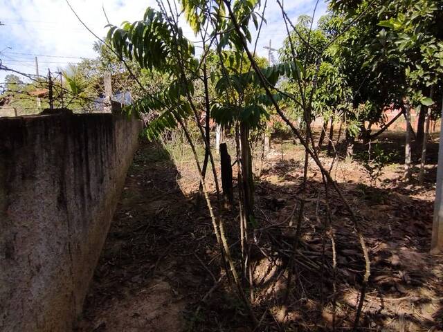 Chácara para Venda em Capela do Alto - 4
