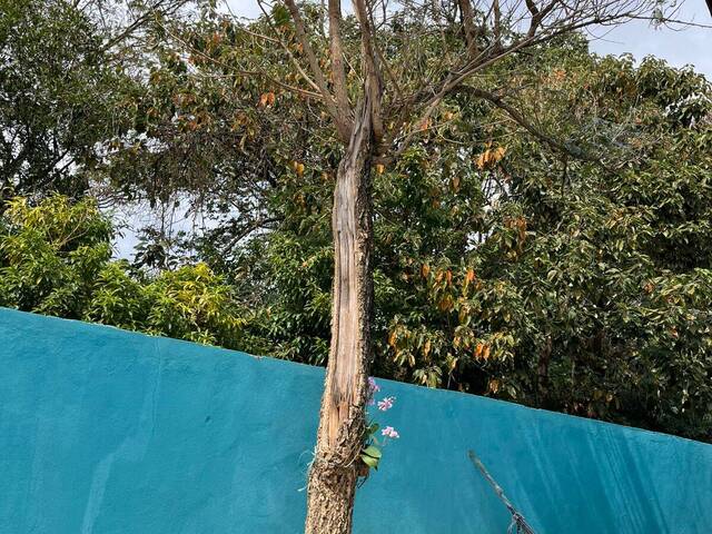 #63 - Casa para Venda em Capela do Alto - SP - 3
