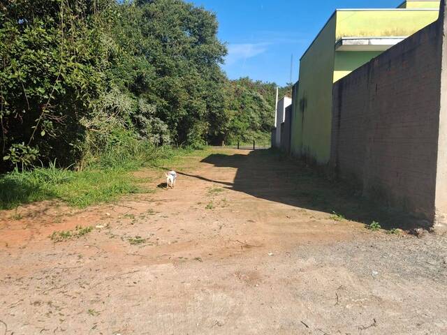 #87 - Área para Venda em Piedade - SP - 1